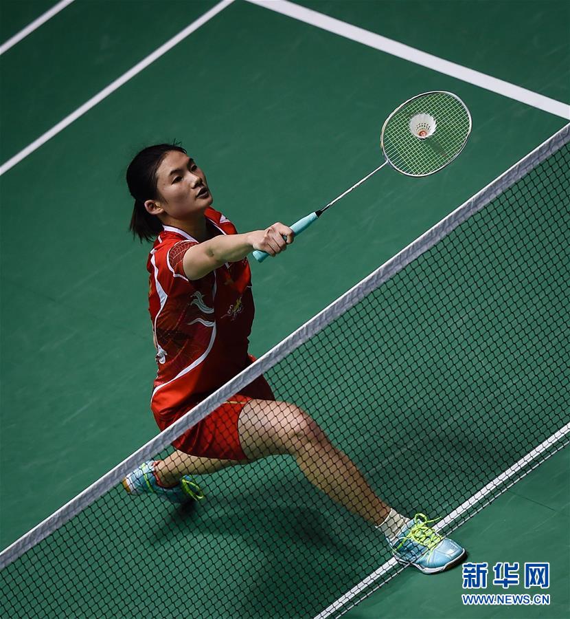 主教练在面 主教练在面